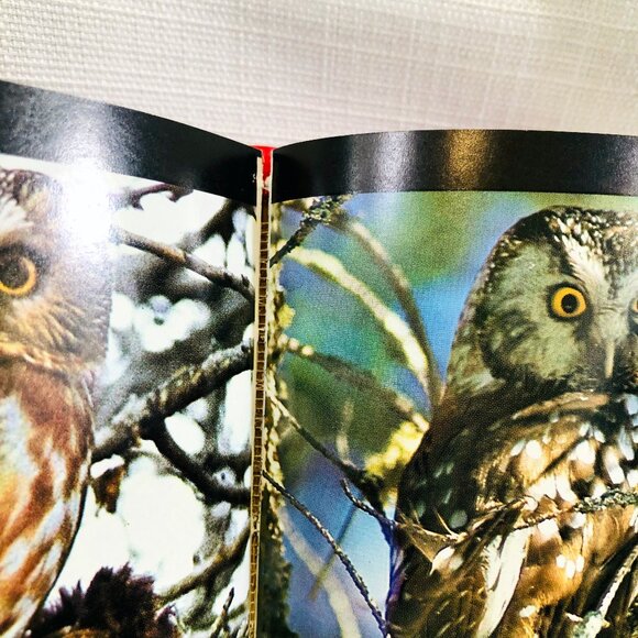 The Audubon Society Field Guide to North American Birds Vintage 1980s Book - Picture 9 of 16